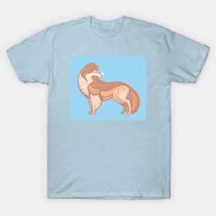 Collie dog, Best friend T-Shirt